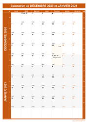 Calendrier pour les mois de Décembre 2020 et Janvier 2021 portrait 1