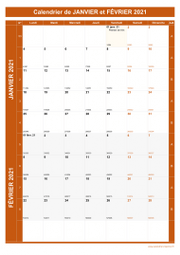 Calendrier pour les mois de Janvier et Février 2021 portrait 1