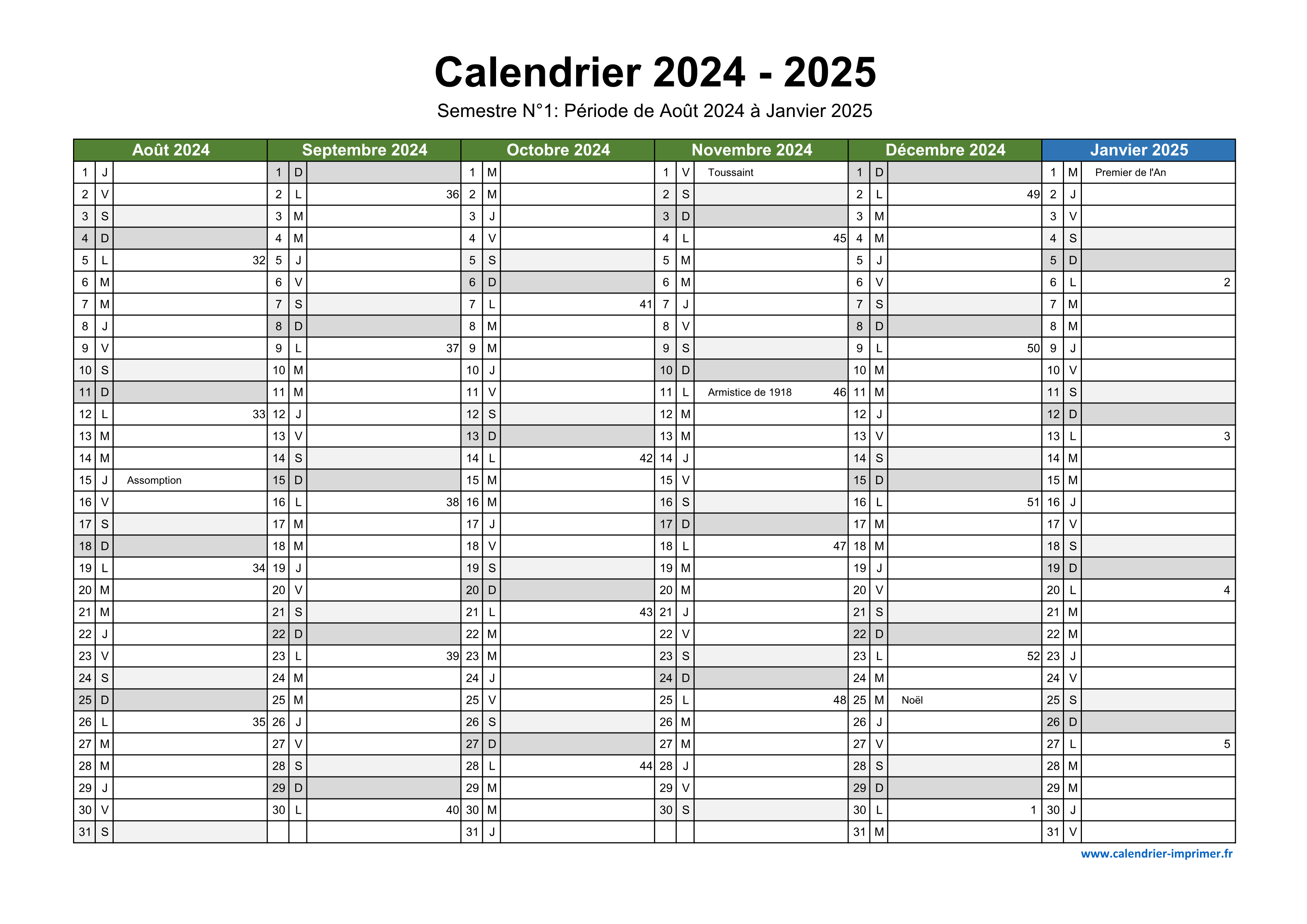 Calendrier annuel 2024 et 2025 imprimable, recharge à imprimer en français  pour planner format A5 et A4, page de notes pour aperçu annuel -   France