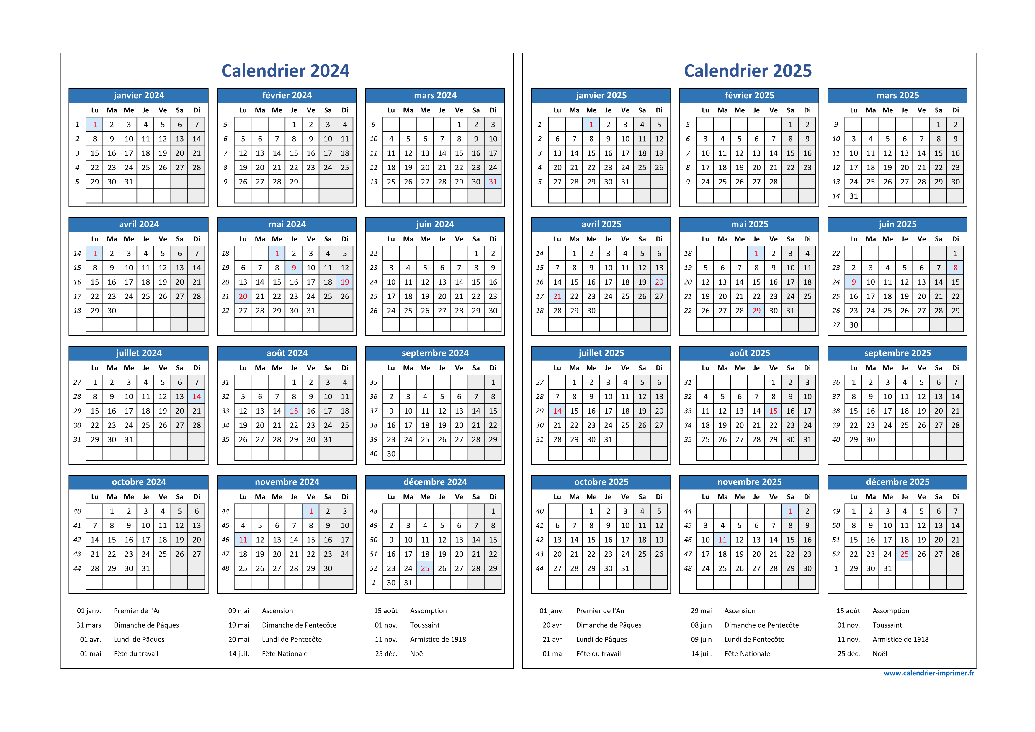 Calendrier annuel 2024 et 2025 imprimable, recharge à imprimer en français  pour planner format A5 et A4, page de notes pour aperçu annuel -   France