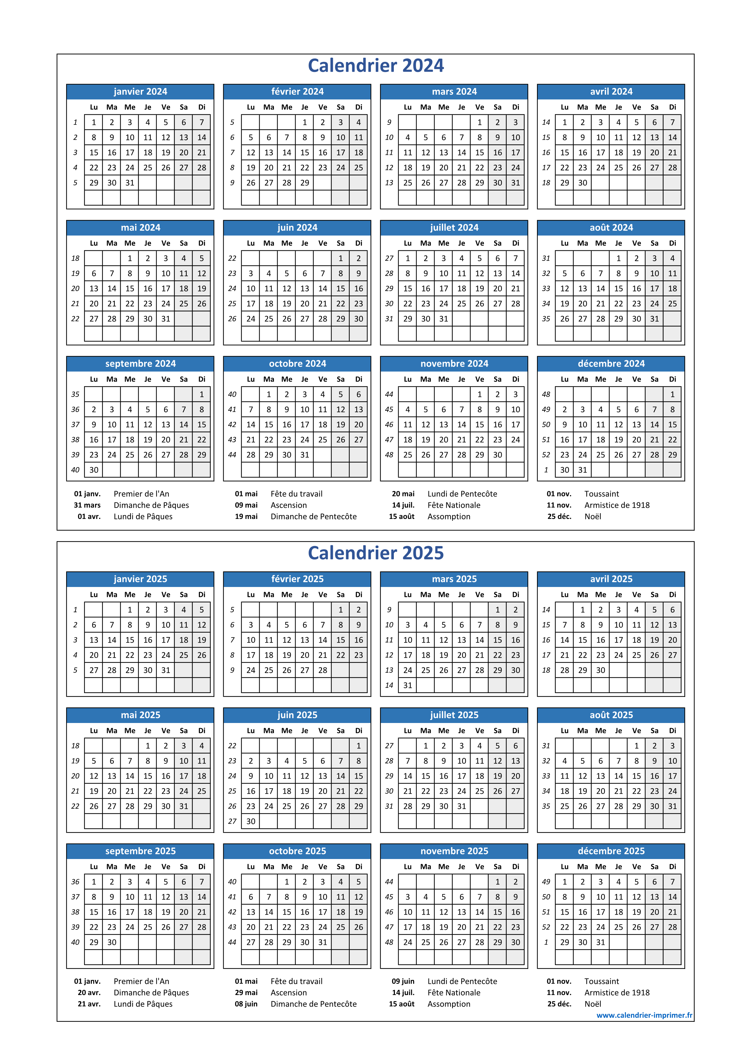 Calendrier annuel 2024 et 2025 imprimable, recharge à imprimer en français  pour planner format A5 et A4, page de notes pour aperçu annuel -   France